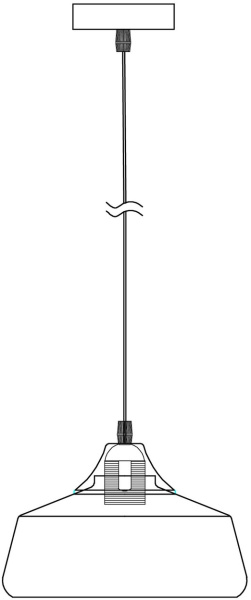 картинка Подвесной светильник Jiffy FR5188PL-01B от магазина BTSvet