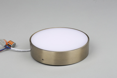 картинка Потолочный светильник светодиодный Evon APL.0113.29.18 от магазина BTSvet