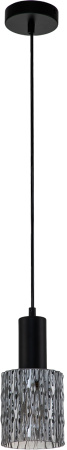 картинка Подвесной светильник Rain 10189/1S E27*40W Black от магазина BTSvet