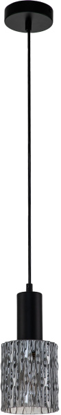 картинка Подвесной светильник Rain 10189/1S E27*40W Black от магазина BTSvet