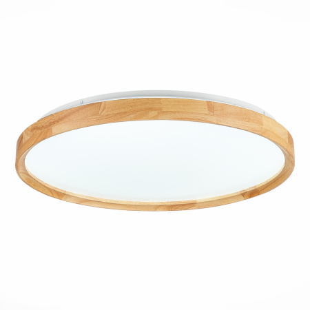 картинка Потолочный светильник светодиодный с регулировкой цветовой температуры Delia SLE201382-01 от магазина BTSvet