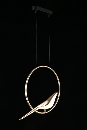 картинка Подвесной светильник светодиодный Astor APL.822.06.10 от магазина BTSvet