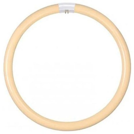 картинка Лампочка люминесцентная Circline 50300/32/31 lamp 32W Warm white от магазина BTSvet