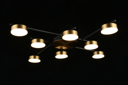 картинка Потолочная люстра на штанге Delayn APL.042.07.56 от магазина BTSvet