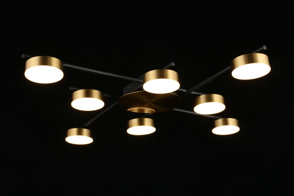 картинка Потолочная люстра на штанге Delayn APL.042.07.56 от магазина BTSvet