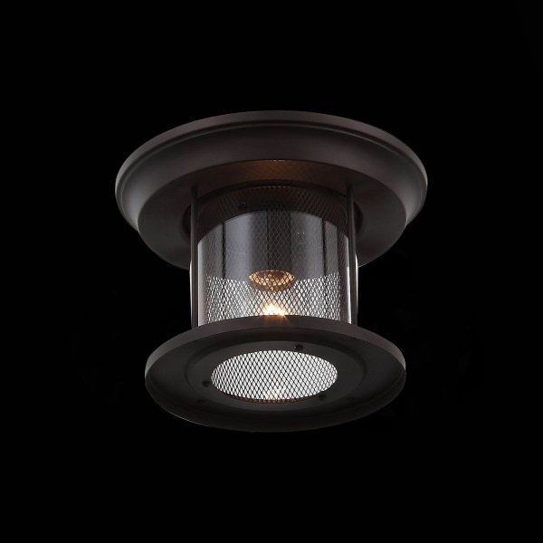 картинка Потолочный светильник уличный Lastero SL080.402.01 от магазина BTSvet