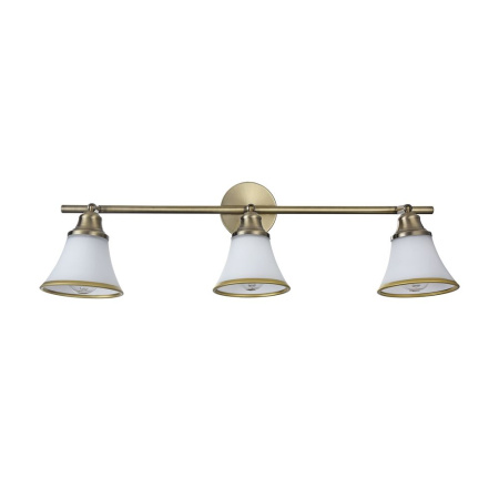 картинка Спот на штанге Jasinta FR2272-CW-03-BS от магазина BTSvet