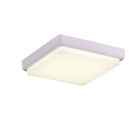 Потолочный светильник светодиодный Taddio SLE200212-01