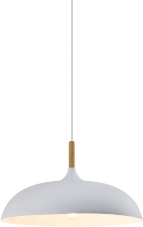 картинка Подвесной светильник V1330-P Hygo 1*E27*60W от магазина BTSvet