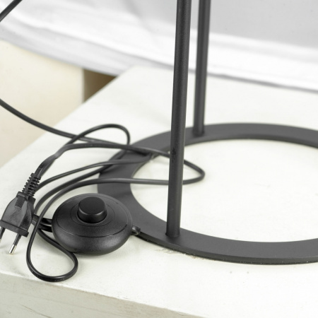 картинка Торшер LSP-0600 от магазина BTSvet