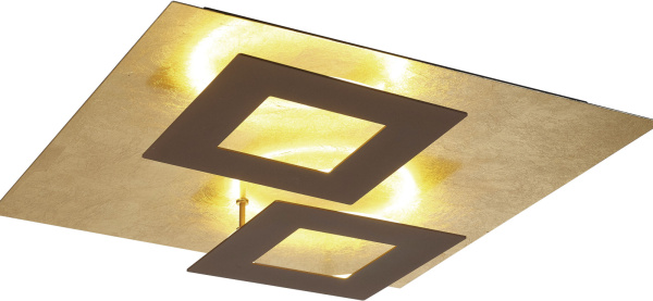 Потолочный светильник Dalia 8163