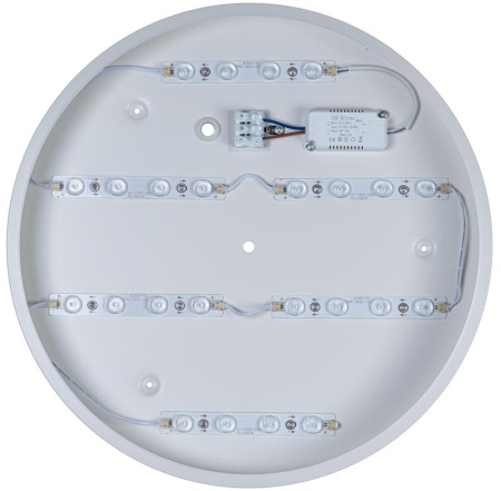 картинка Потолочный светильник светодиодный Axel 10003/24 White от магазина BTSvet