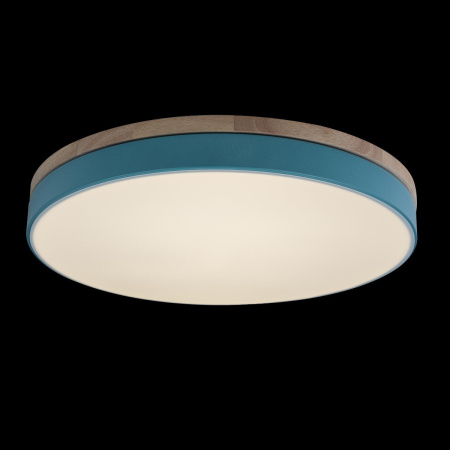 картинка Потолочный светильник светодиодный Axel 10001/36 Blue от магазина BTSvet