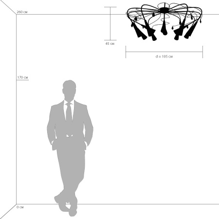 картинка Потолочная люстра AEREO 711124 от магазина BTSvet