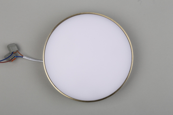 картинка Потолочный светильник светодиодный Evon APL.0114.29.24 от магазина BTSvet