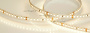 картинка Светодиодная лента RT 2-5000-50m 24V Warm3000 2x (2835, 160 LED/m, LUX) (12 Вт/м, IP20) 024553(1) от магазина BTSvet