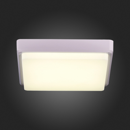 картинка Потолочный светильник светодиодный Taddio SLE200212-01 от магазина BTSvet