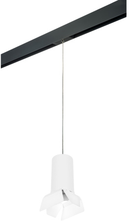 Трековый светильник однофазный 220V Lightstar Rullo PRORP6486486