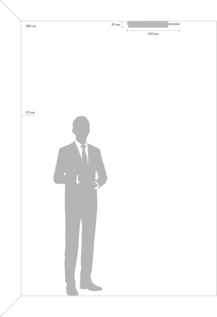 картинка Потолочный светильник светодиодный с пультом Lisoa FR10032CL-L98B от магазина BTSvet