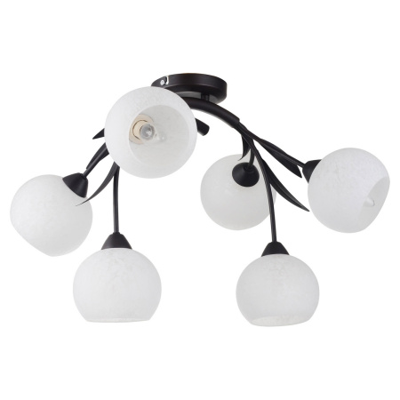 Потолочная люстра Bagheria LSF-6283-06