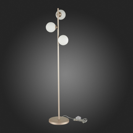 картинка Торшер светодиодный с выключателем Redjino SLE106205-03 от магазина BTSvet