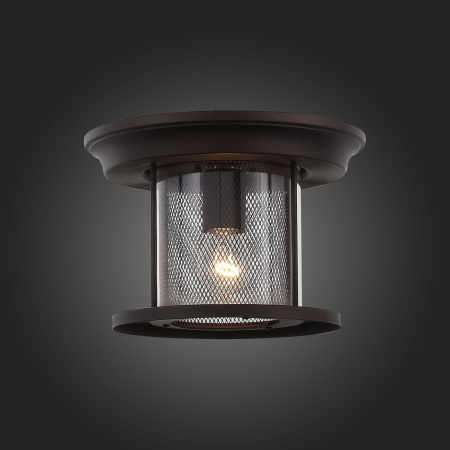 картинка Потолочный светильник уличный Lastero SL080.402.01 от магазина BTSvet