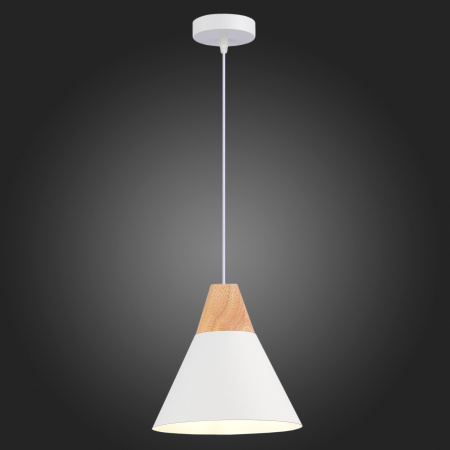 картинка Подвесной светильник Evoluce Modica SLE125103-01 от магазина BTSvet