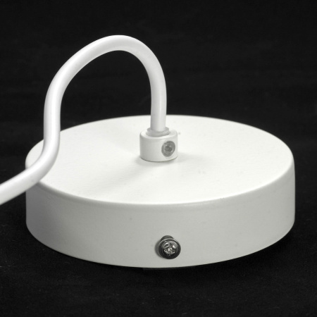 картинка Подвесной светильник LSP-8135 от магазина BTSvet