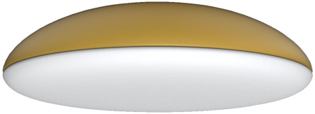 Потолочный светильник Kazz 8148