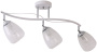 картинка Люстра потолочная на штанге Arya 647/3P E27*60W White от магазина BTSvet