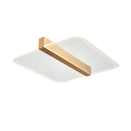 Потолочная люстра светодиодная Futuro VL7224L21