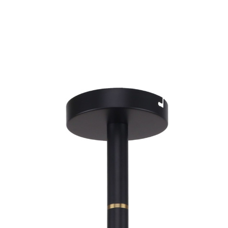 картинка Потолочная люстра Eternity 2766-12P от магазина BTSvet