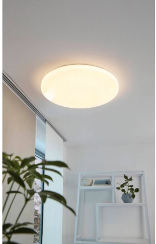 картинка Настенно-потолочный светодиодный светильник Frania 98446 от магазина BTSvet