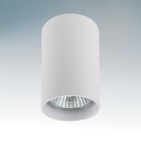 картинка Точечный накладной светильник RULLO 214436 от магазина BTSvet