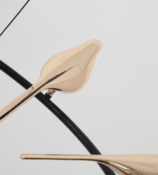 картинка Подвесная люстра светодиодная Арси 08446-6A,33 магазин BTSvet картинка Подвесная люстра светодиодная Арси 08446-6A,33 от магазина BTSvet