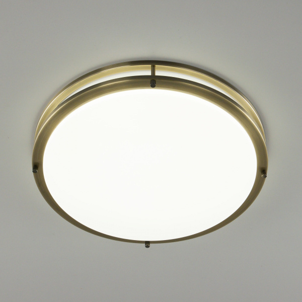 картинка Настенно-потолочный светильник светодиодный с диммером Бостон CL709503N IP44 от магазина BTSvet