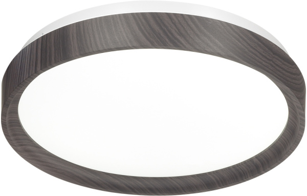 картинка Настенно-потолочный светильник Woodi 7627/CL от магазина BTSvet