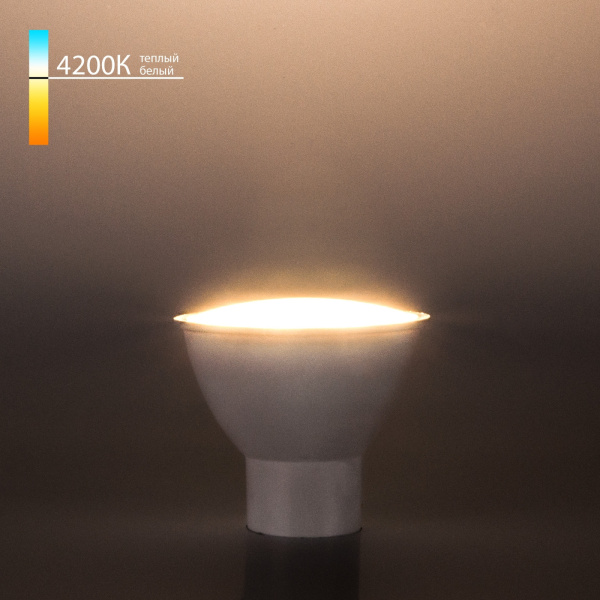 картинка Лампочка светодиодная BLGU1003 от магазина BTSvet