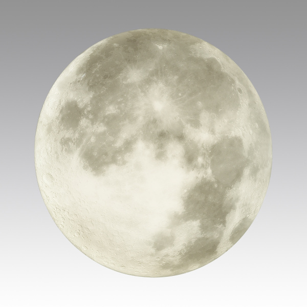 картинка Настенно-потолочный светильник Moon 3084/EL от магазина BTSvet
