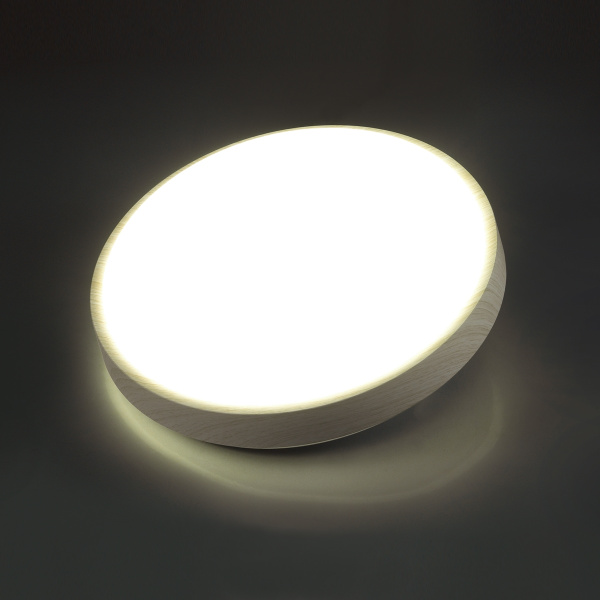 картинка Настенно-потолочный светильник Losta 7628/CL от магазина BTSvet