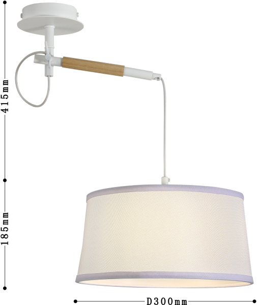 картинка Настенно-потолочный светильник Eureka 3005-1P от магазина BTSvet