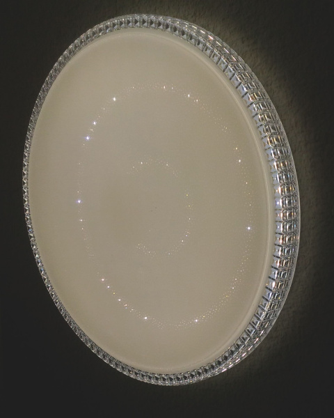 картинка Светодиодный настенно-потолочный светильник с пультом Brisa 2036/EL от магазина BTSvet