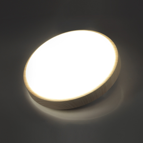 картинка Настенно-потолочный светильник Losta 7607/AL от магазина BTSvet